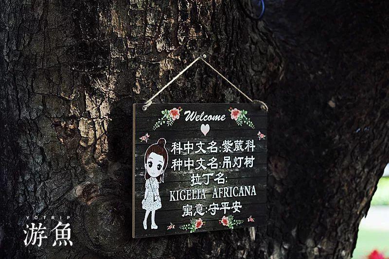 泡弹学院